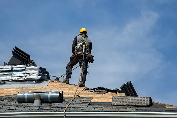 Professional Metal Roofing technician working in Naples, TX